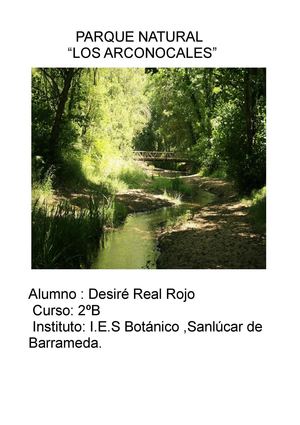 Parque Natural Los Alcornocales .