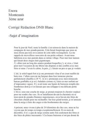 Corrigé DNB blanc Enora Monteuuis