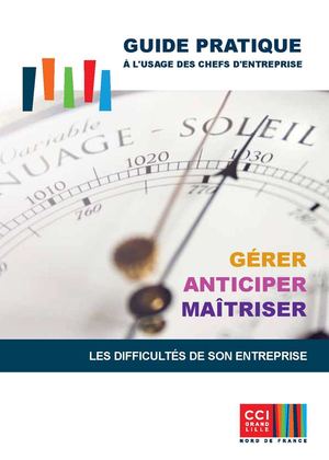 Guide pratique à l'usage des chefs d'entreprise