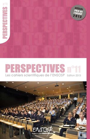 Perspectives n°11