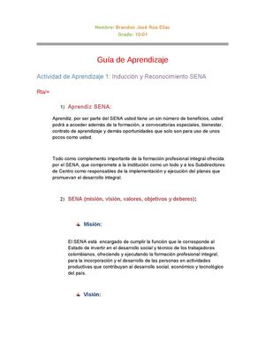 Inducción Técnico de Sistema