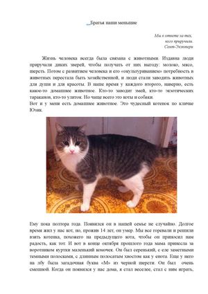 Лапшин Иван 5 В "Мой пушистый друг"