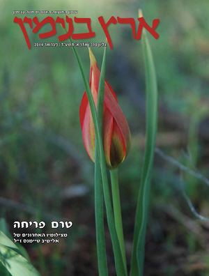 ארץ בנימין 390 אדר א' תשע"ג פברואר 2014