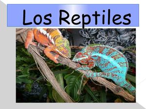 Los reptiles