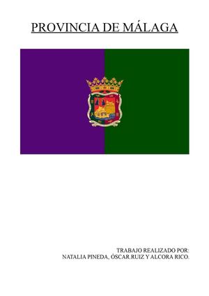 LIBRO DIGITAL DE MALAGA