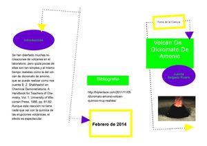 Folleto Juanita Salgado 