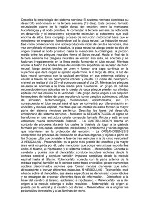 Describa la embriología del sistema nervioso El sistema nervioso comienza su desarrollo embrionario en la tercera semana