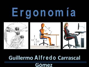ERGONOMIA