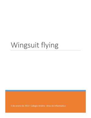 Wingsuit