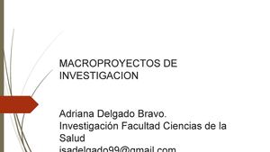 MACROPROYECTOS