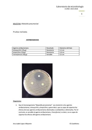 Informe antibiograma