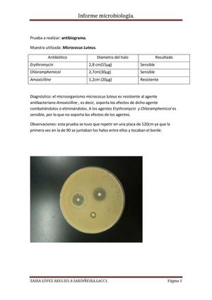 Antibiograma.