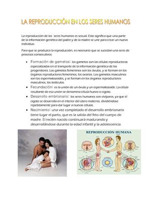 REPRODUCCIÓN