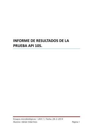 Calaméo - Informe Api10s