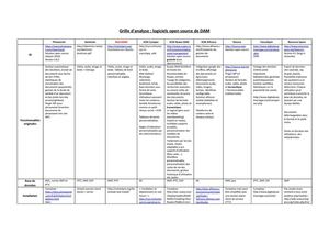 Grille d'analyse DAM