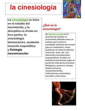 PERIODICO CINESIOLOGIA 