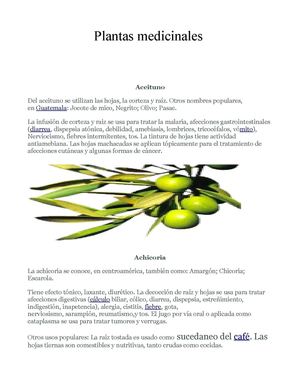 plantas