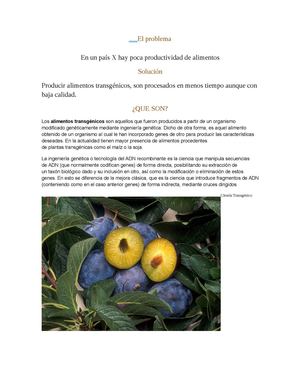 Alimentos Transgenicos