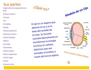 Folleto feria de la ciencia