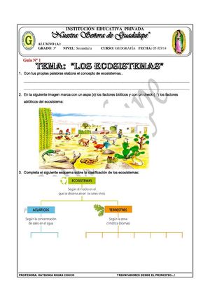 Los ecosistemas