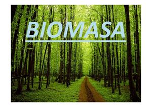 BIOMASA