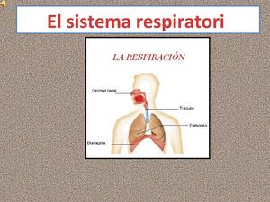 aparell respiratori