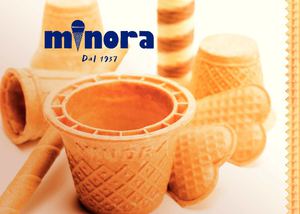 Catalogo Minora 2013