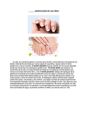 Manicure y Pedicure es importante conocer...