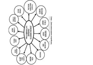 Создание тематических кластеров в MS Word с помощью автофигур