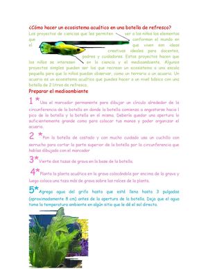 ecosistema en botella