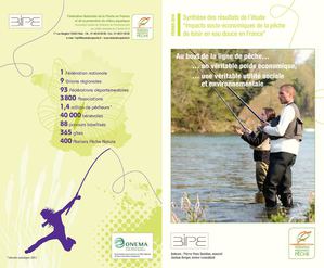 Impacts socio-économiques de la pêche