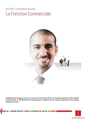 Les nouvelles perspectives de la fonction commerciale en 2014
