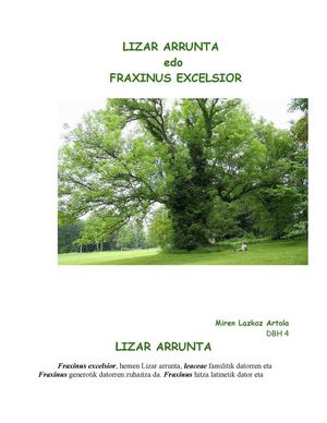 LIZARRA