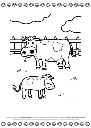 krowa-kolorowanka