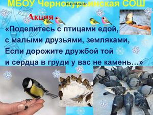 АКЦИЯ Помоги птицам зимой