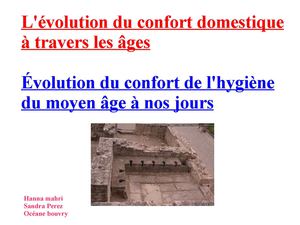 l'evolution des toilettes a travers les age 