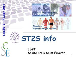 Bac ST2S au lycée Ste Croix St Euverte