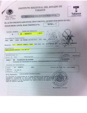 Acta constitutiva DIF