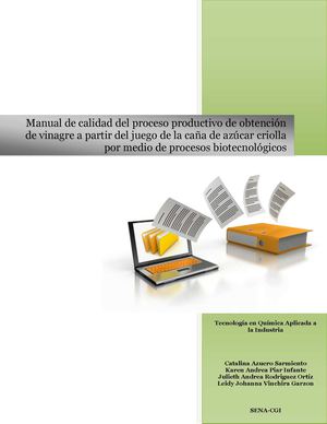 MANUAL DE CALIDAD DEL PROCESO DE PRODUCCIÓN
