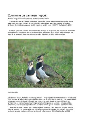 Zoonymie du Vanneau huppé.