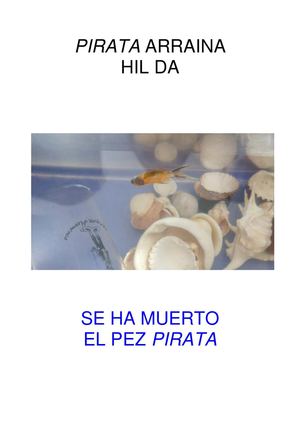 PIRATA ARRAINA HIL DA