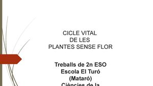 Cicle vital de les plantes sense flor