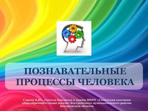 Познавательные процессы человека