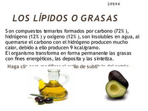 LOS LIPIDOS O GRASA 