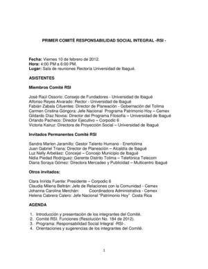 Acta Nº1 Comité RSI - Febrero 2012