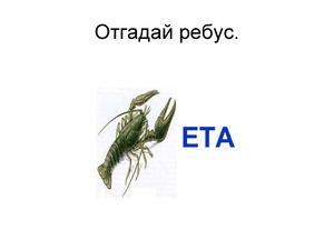 Вводная презентация