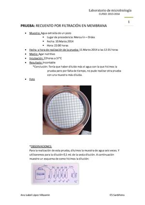 Informe_ Filtración en membrana