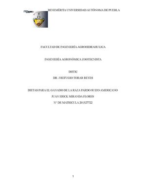 MINI TESIS INVENTADA