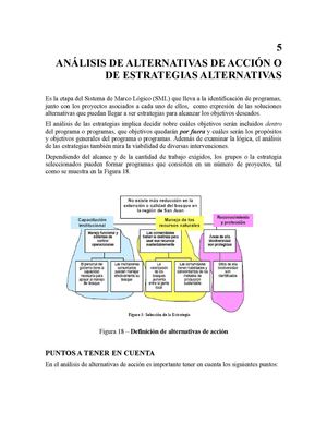 ANÁLISIS DE ALTERNATIVAS DE ACCIÓN O DE ESTRATEGIAS ALTERNATIVAS 