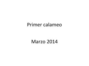 Primer calameo ppt